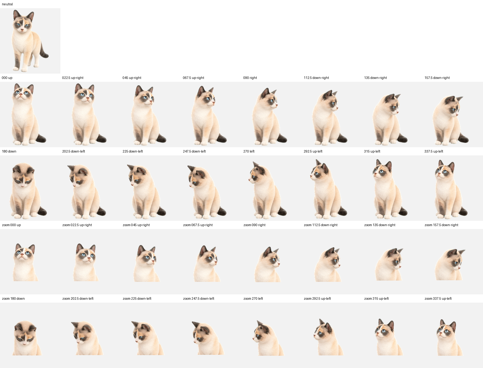 Stormi looking in all 16 validated directions